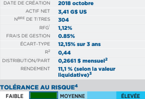 Risque du Fonds rendement à prime PLUS Dynamique